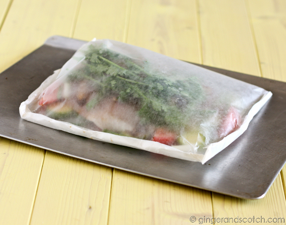 Easy Peasy Fish in a Bag - Make ahead a few hours