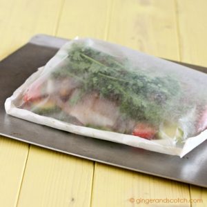Easy Peasy Fish in a Bag