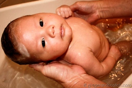 Wee Scotch at 1 month old Wee Scotch at 1 month old