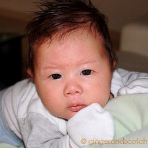 Wee Scotch 2-months old
