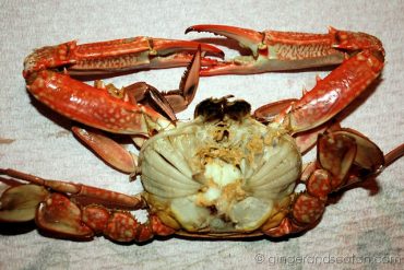 Boiled Crab