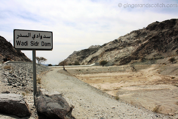Wadi Sidr