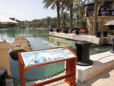 New turtle sanctuary at Mina A'Salam