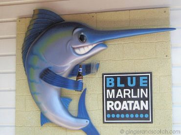 Blue Marlin