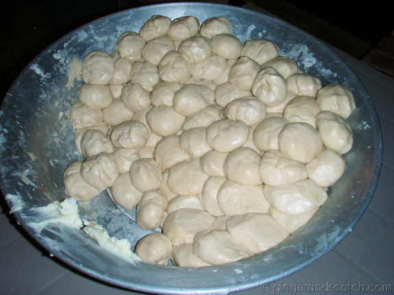 tortilla dough tortilla dough