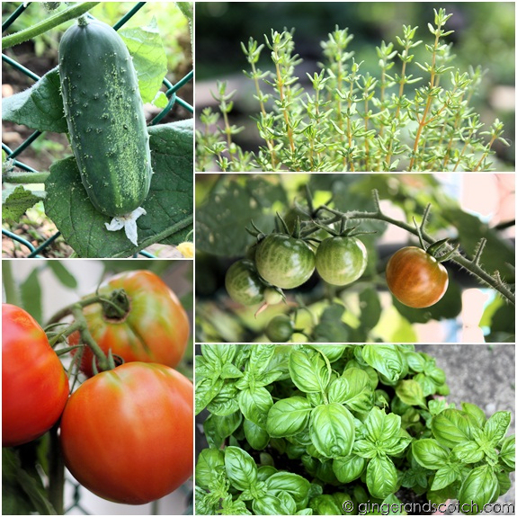 Mom's Garden 2