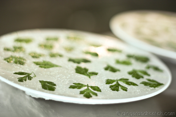 Nuked Parsley Nuked Parsley