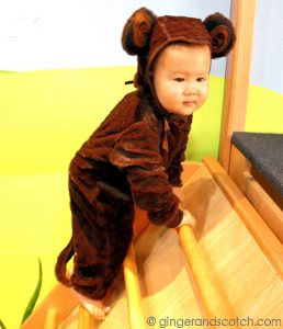 Little Monkey Costume 2011