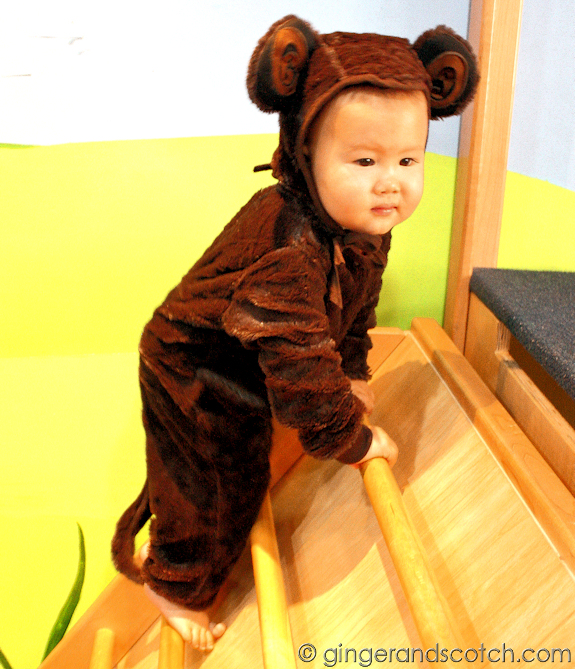 Little Monkey Costume 2011 Little Monkey Costume 2011