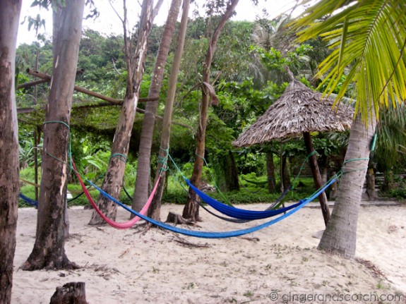 Cham island hammocks Cham island hammocks
