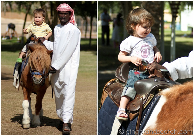 Al Ain Zoo - pony rides