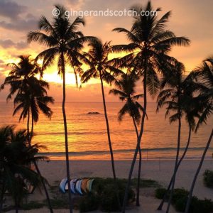 Sri Lanka – Day 1
