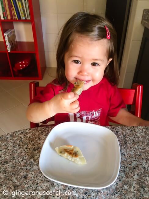 Li'L Ginger eating potstickers Li'L Ginger eating potstickers