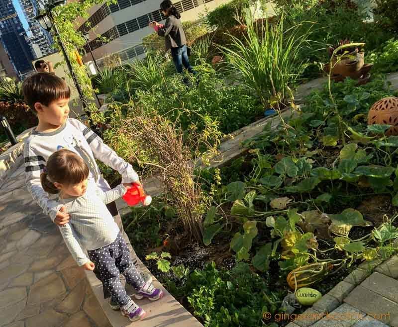 Kids at Community Garden