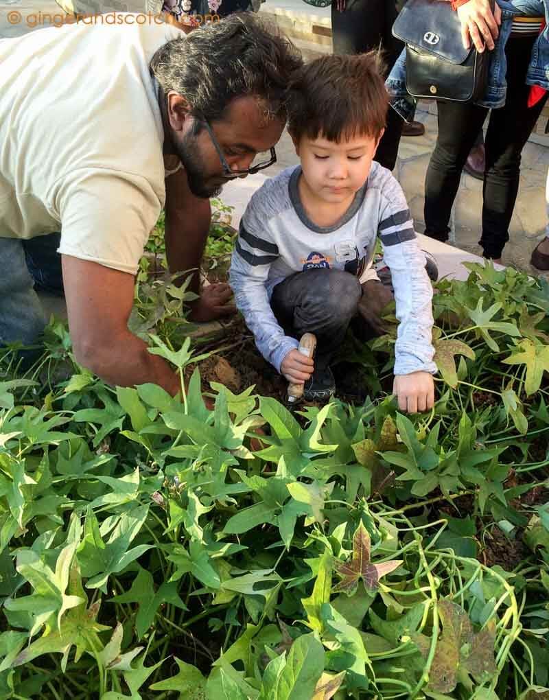 Kids at Community Garden