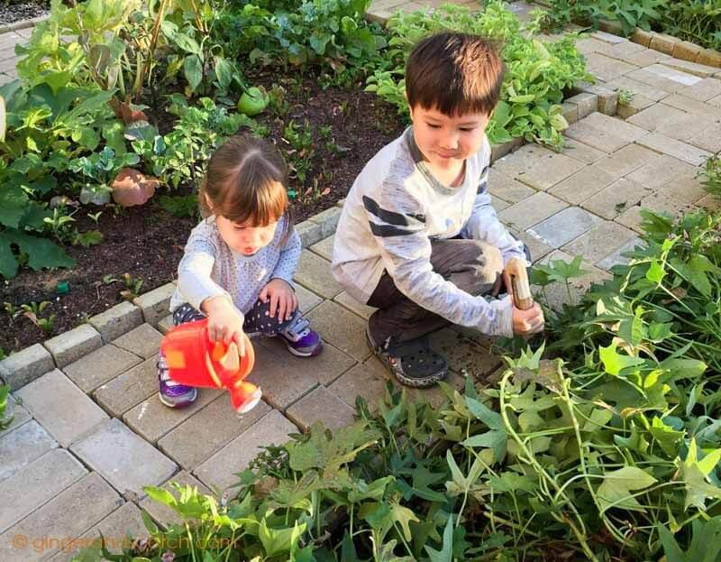 My kids helping to water the community garden