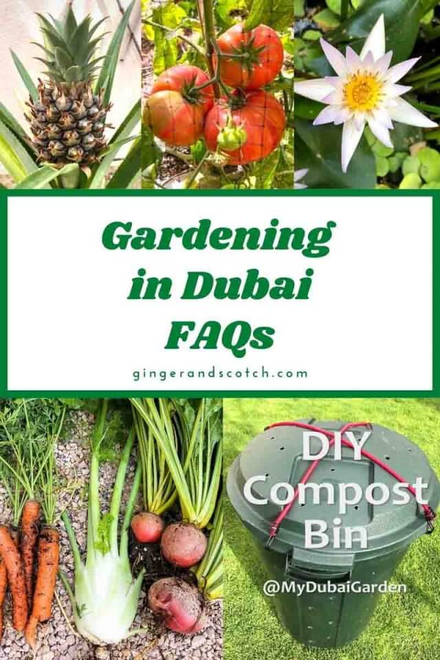 gardening in Dubai FAQs